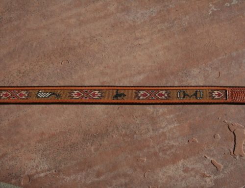 Beaded Strip For a Belt